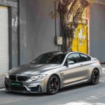 Ravoony Plus PET Liquid Matte Silver Wrap