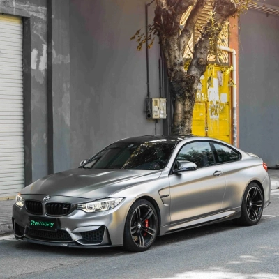 Ravoony Plus PET Liquid Matte Silver Wrap 02