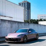 Ravoony Plus Glossy Frozen Berry Wrap
