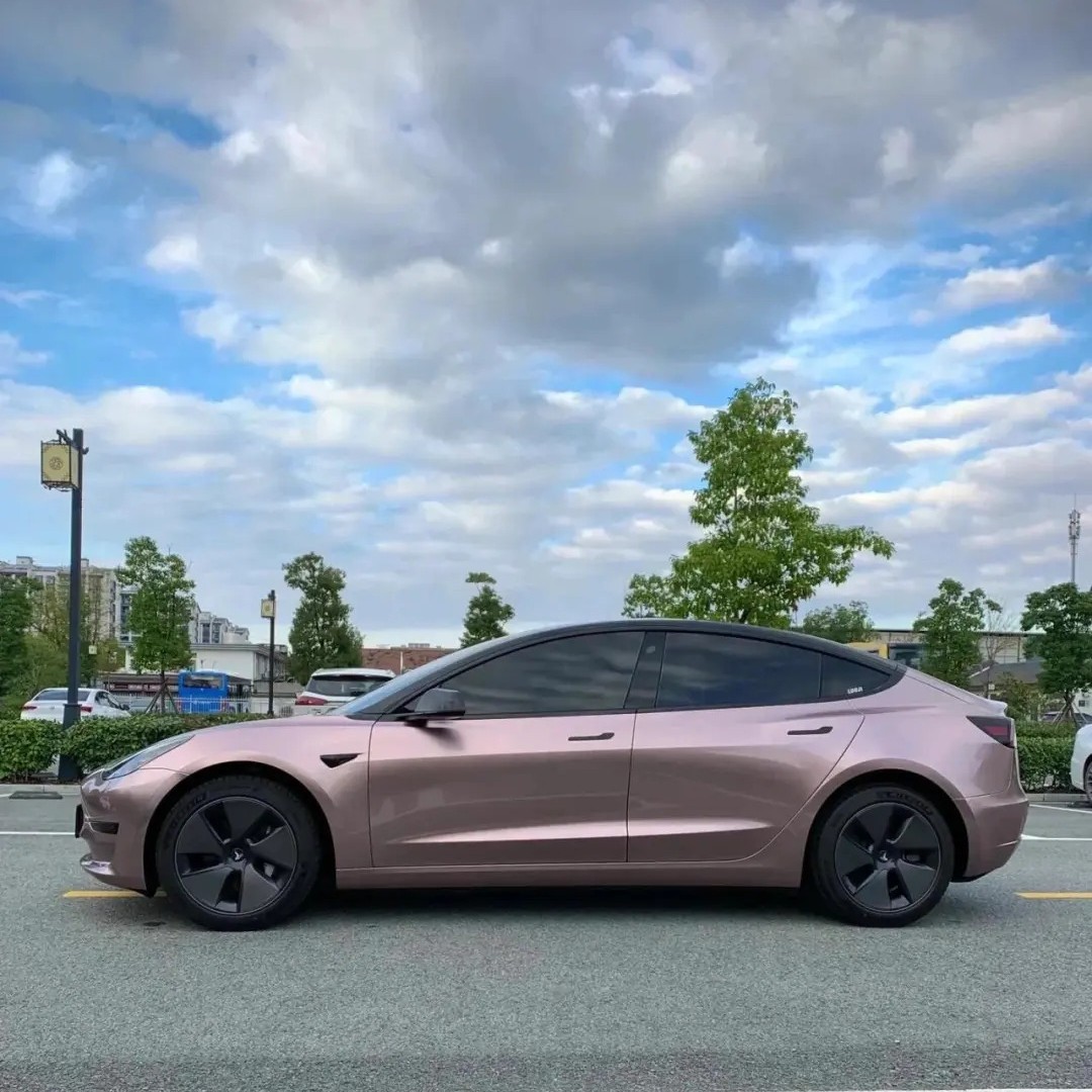 Ravoony Plus Glossy Frozen Berry Wrap