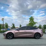 Ravoony Plus Glossy Frozen Berry Wrap