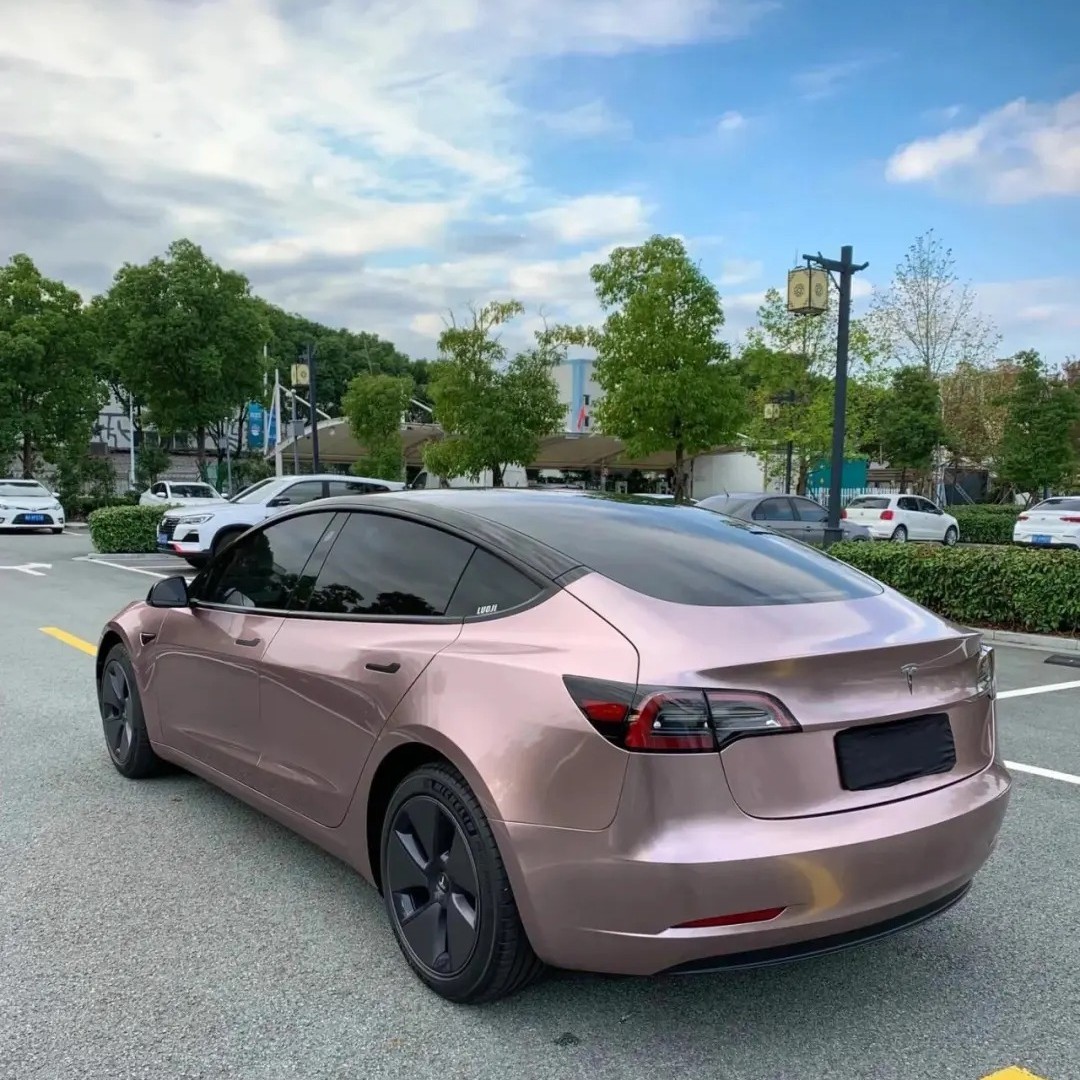 Ravoony Plus Glossy Frozen Berry Wrap