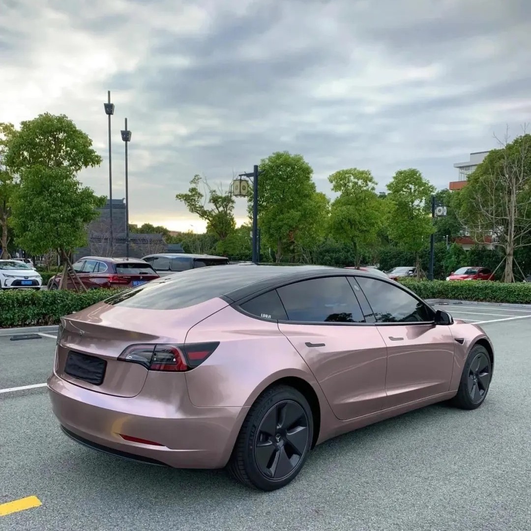 Ravoony Plus Glossy Frozen Berry Wrap