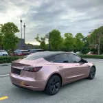 Ravoony Plus Glossy Frozen Berry Wrap