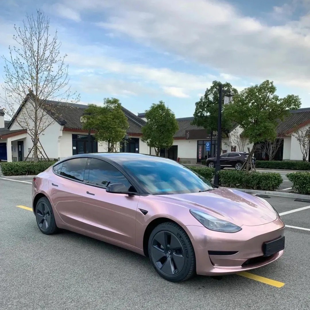 Ravoony Plus Glossy Frozen Berry Wrap