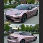 Ravoony Plus Glossy Frozen Berry Wrap