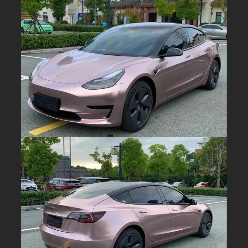 Ravoony Plus Glossy Frozen Berry Wrap