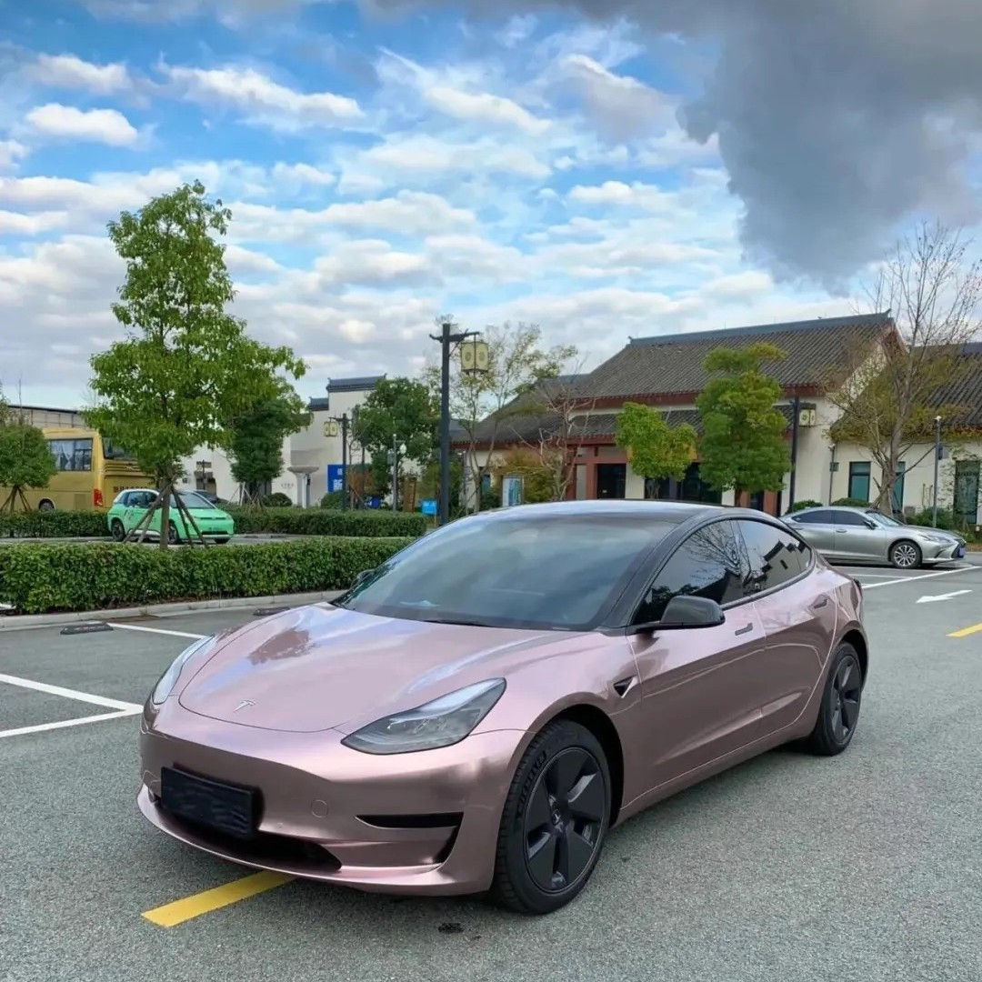 Ravoony Plus Glossy Frozen Berry Wrap