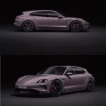 Ravoony Plus Gloss Provence Lavender Car Wrap