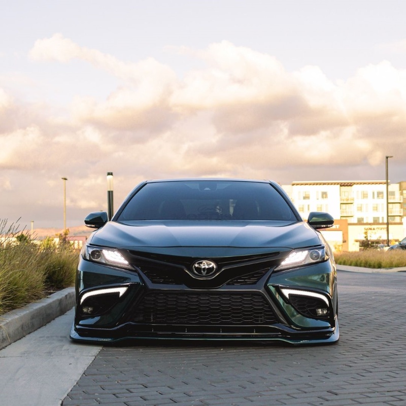 Ravoony Plus Blackish Green Car Vinyl Wrap