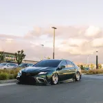 Ravoony Plus Blackish Green Car Vinyl Wrap