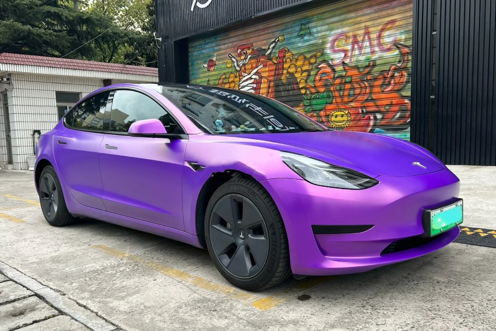 Ravoony Plus Matte Metallic Diamond Purple Gold Chameleon Wrap