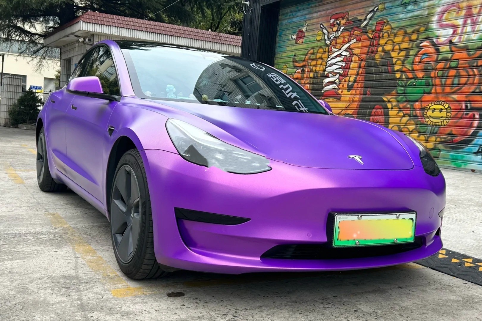 Ravoony Plus Matte Metallic Diamond Purple Gold Chameleon Wrap