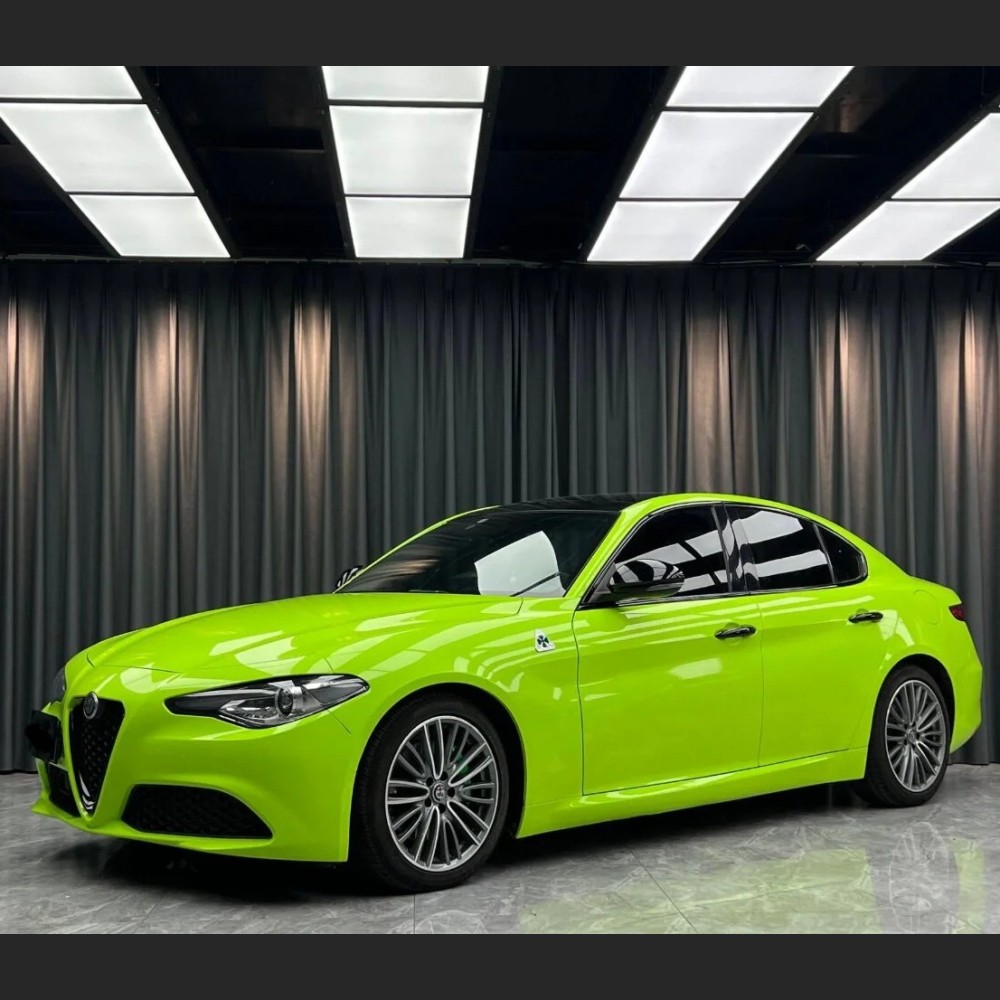 Ravoony Basic Gloss Apple Green Car Wrap