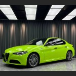 Ravoony Basic Gloss Apple Green Car Wrap