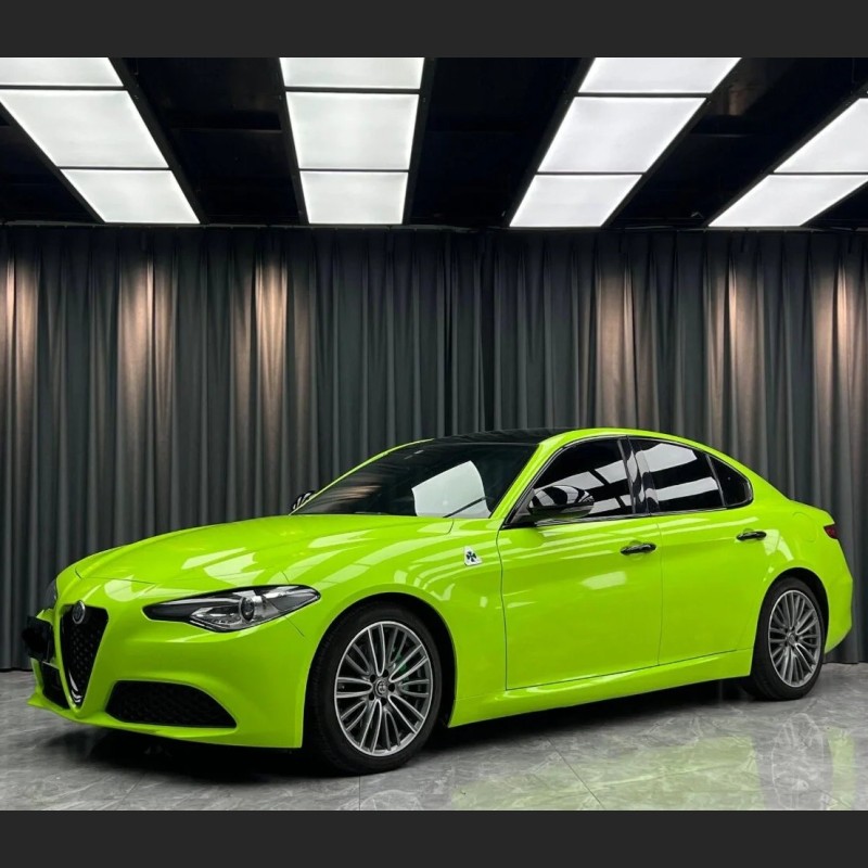 Ravoony Basic Gloss Apple Green Car Wrap