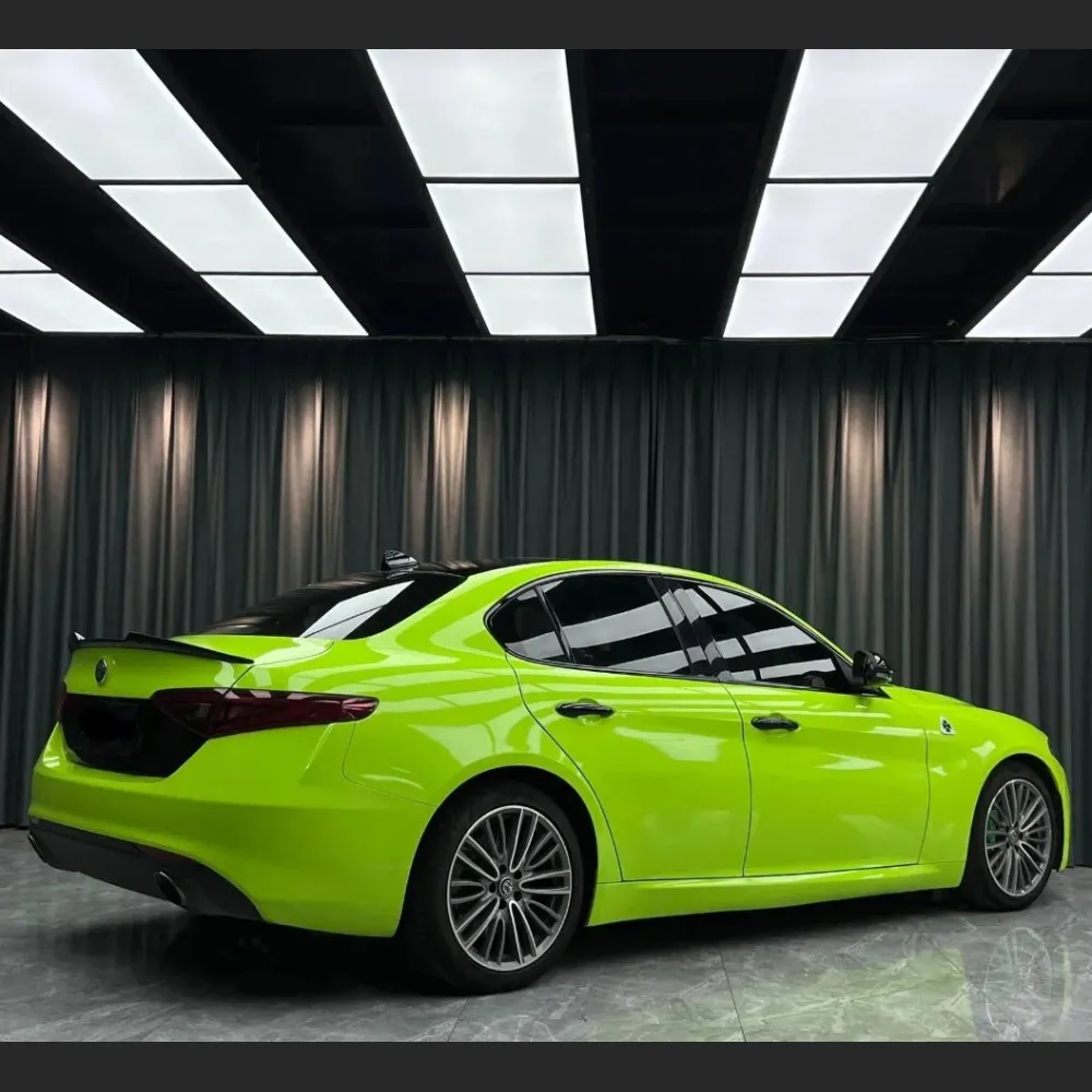 Ravoony Basic Gloss Apple Green Car Wrap