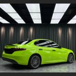 Ravoony Basic Gloss Apple Green Car Wrap