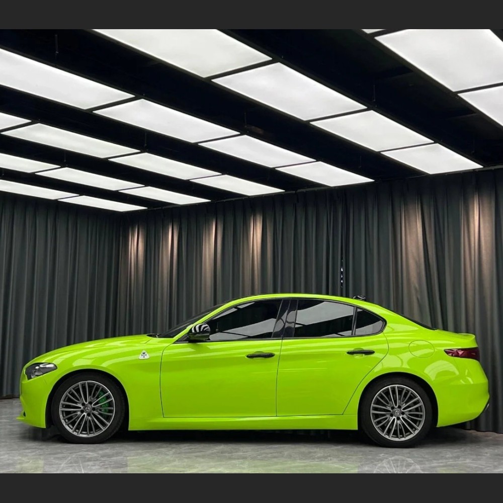 Ravoony Basic Gloss Apple Green Car Wrap