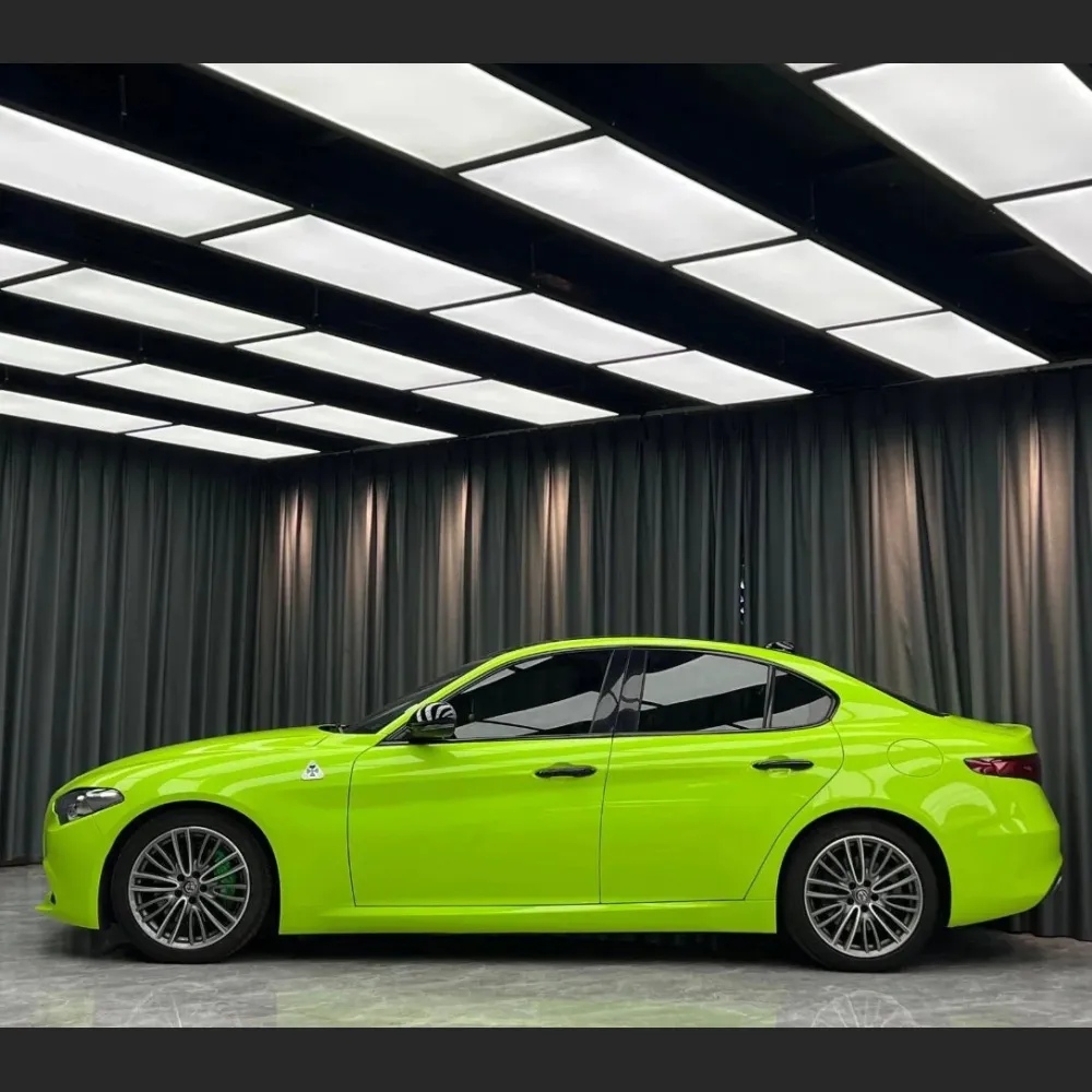 Ravoony Basic Gloss Apple Green Car Wrap