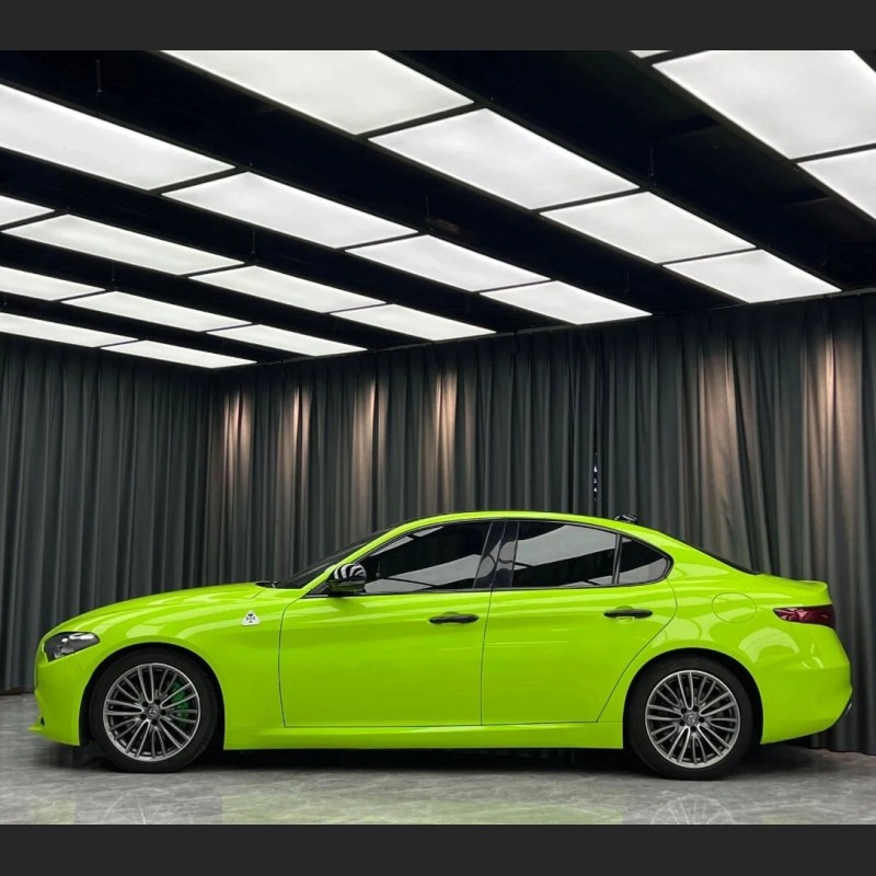 Ravoony Basic Gloss Apple Green Car Wrap