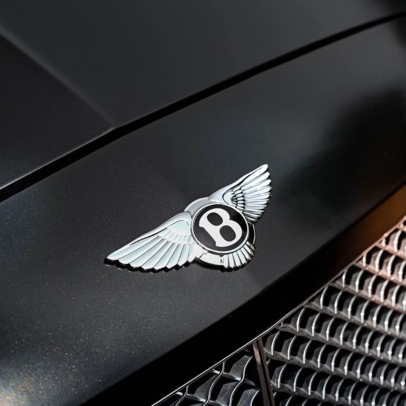 Ravoony Plus Matte Pearl Metal Black Car Vinyl Wrap