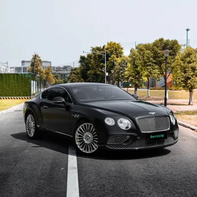 Ravoony Plus Matte Pearl Metal Black Car Vinyl Wrap 02