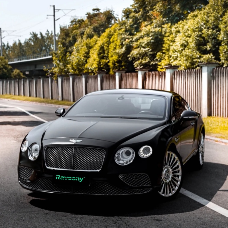 Ravoony Plus Matte Pearl Metal Black Car Vinyl Wrap