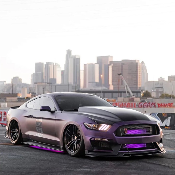 Ravoony Plus Ultra-Matte Purple-Red Car Wrap 