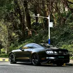 Ravoony Basic Satin Black Car Wrap