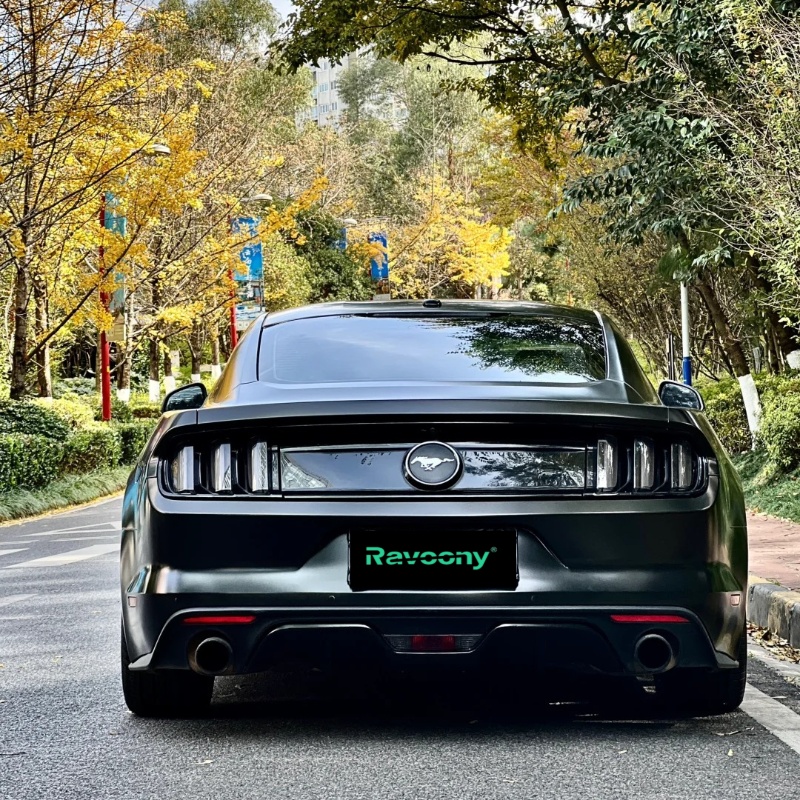 Ravoony Basic PET Satin Black Car Wrap