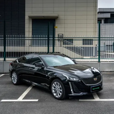 Ravoony Plus Glossy Crystal Black Car Vinyl Wrap 02