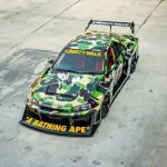 Ravoony Plus Customized Dolph Camo Wrap