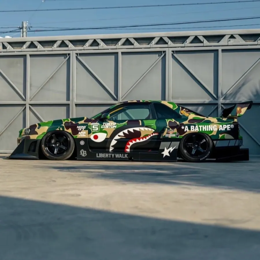 Ravoony Plus Customized Dolph Camo Wrap