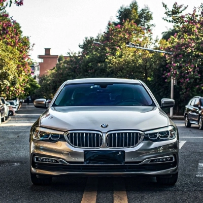 Ravoony Pro TPU Liquid Metal Brown Copper PPF Film 02