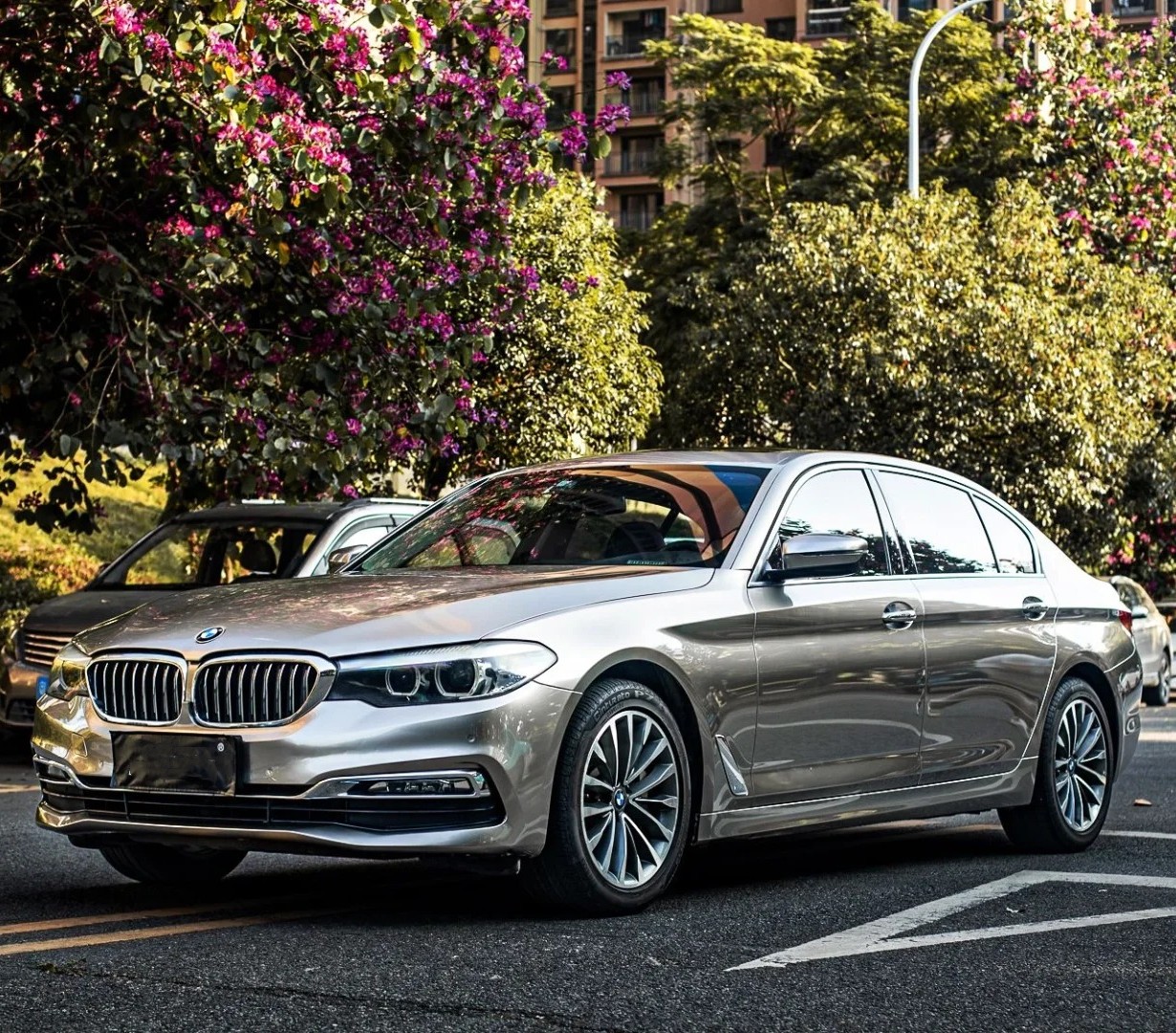 Ravoony Pro TPU Liquid Metal Brown Copper PPF Film