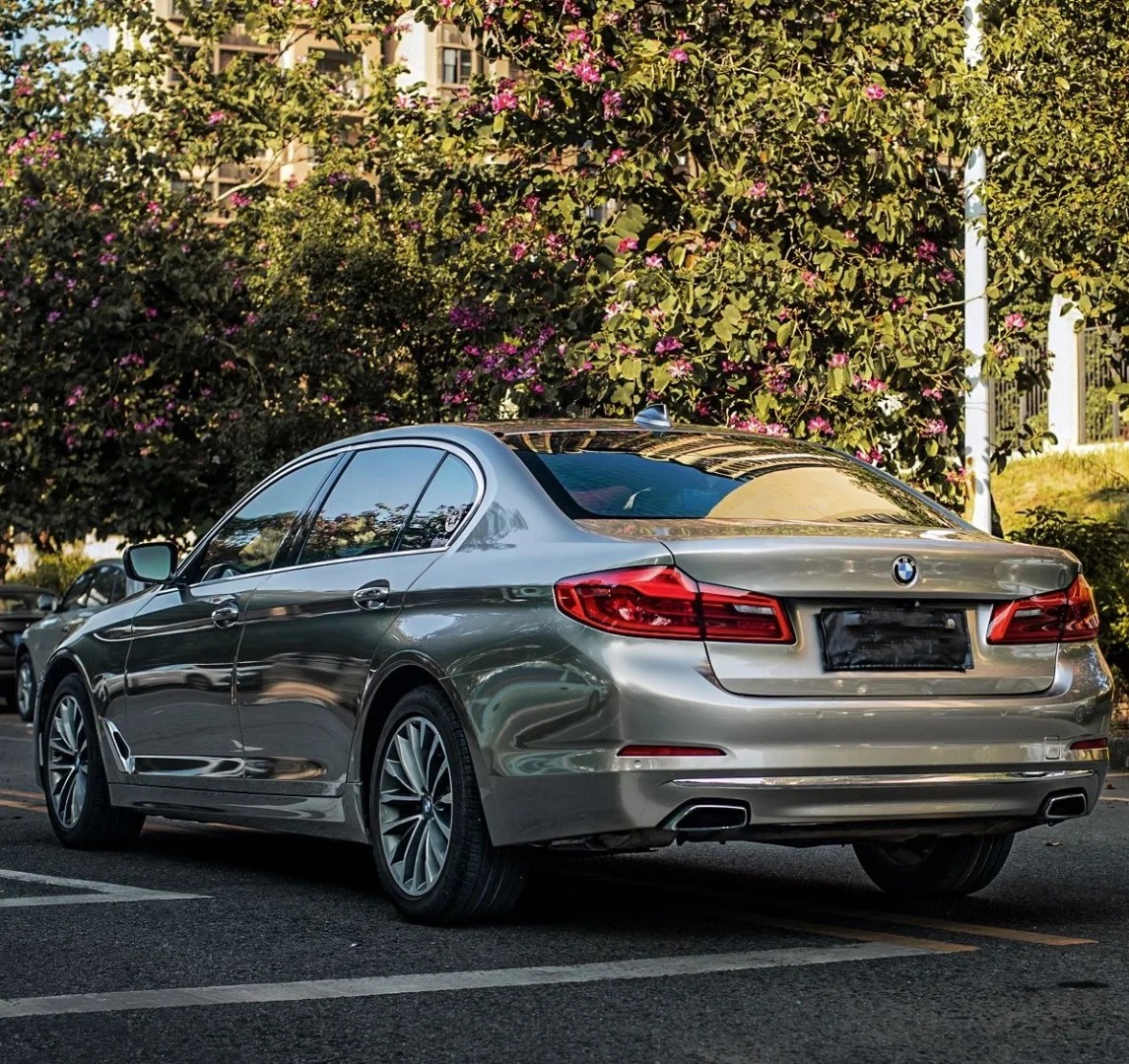 Ravoony Pro TPU Liquid Metal Brown Copper PPF Film