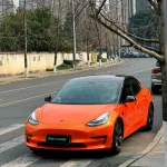 Ravoony Plus Burnt Orange Car Wrap