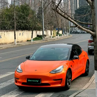 Ravoony Plus Burnt Orange Car Wrap 02