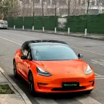 Ravoony Plus Burnt Orange Car Wrap