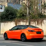 Ravoony Plus Burnt Orange Car Wrap
