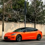 Ravoony Plus Burnt Orange Car Wrap