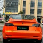 Ravoony Plus Burnt Orange Car Wrap