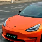 Ravoony Plus Burnt Orange Car Wrap