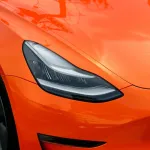 Ravoony Plus Burnt Orange Car Wrap