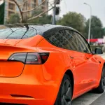 Ravoony Plus Burnt Orange Car Wrap