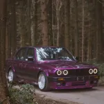 Ravoony Plus Gloss Pearl Grape Purple Car Wrap