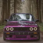 Ravoony Plus Gloss Pearl Grape Purple Car Wrap