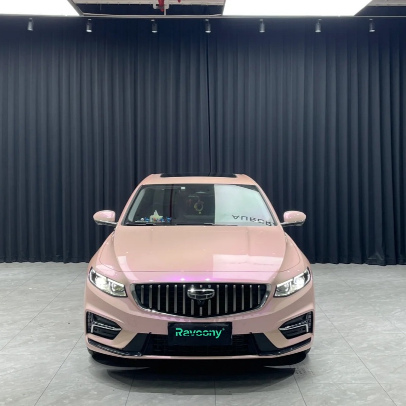 Ravoony Plus Twin Magic Pink Car Vinyl Wrap