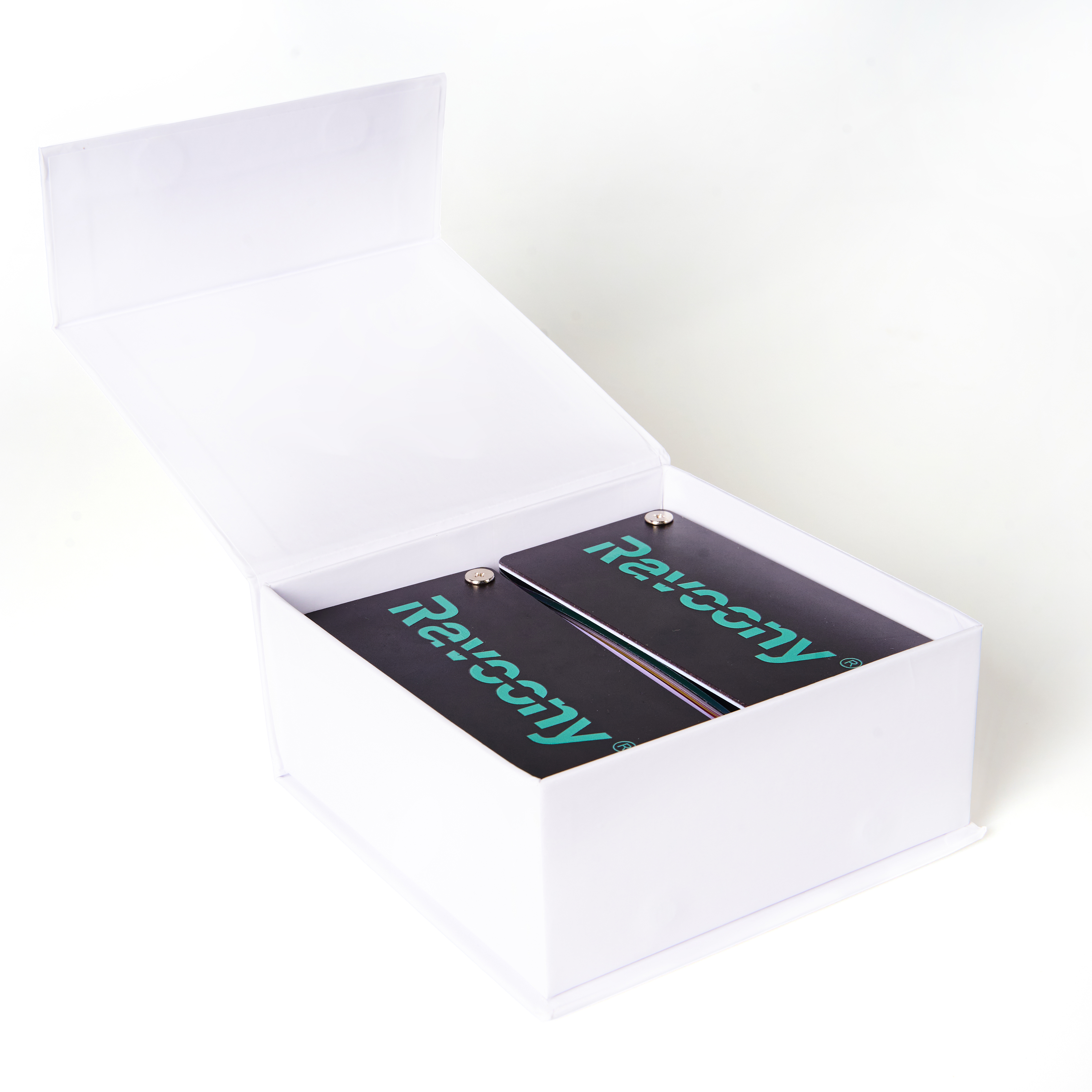 Ravoony Plus New PET Color Swatch 2025